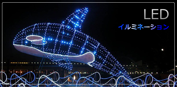 LED�Ɩ���